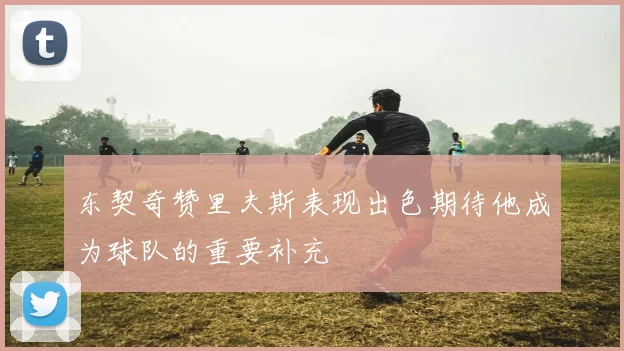 东契奇赞里夫斯表现出色期待他成为球队的重要补充